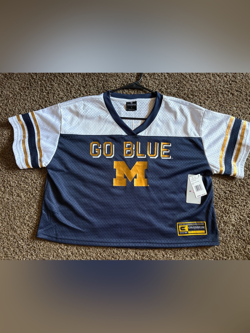 Women’s Michigan Jersey